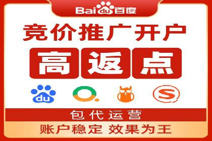 关键词竞价排名实战案例精选解析